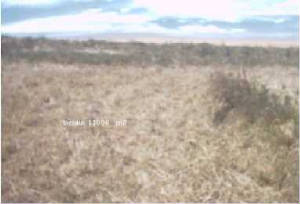terrain2.jpg