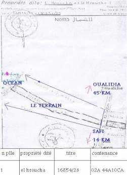 terrain3.jpg